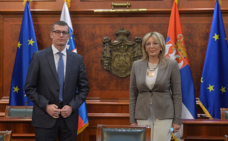J. Joksimović：塞尔维亚对欧洲政策做出了重大贡献